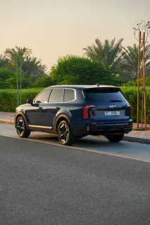 2025 Kia Telluride for Rent in The Old Town Island photo 3
