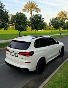 Rent a 2025 BMW X5 in Port Saeed photo 9